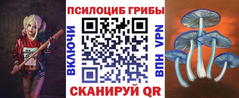 купить наркоту  МЕГА ссылки  Галлюциногенные грибы Magic Shrooms  Заинск 